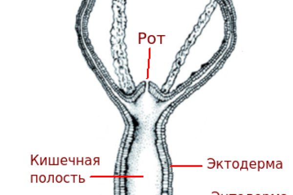 Kra23.gl