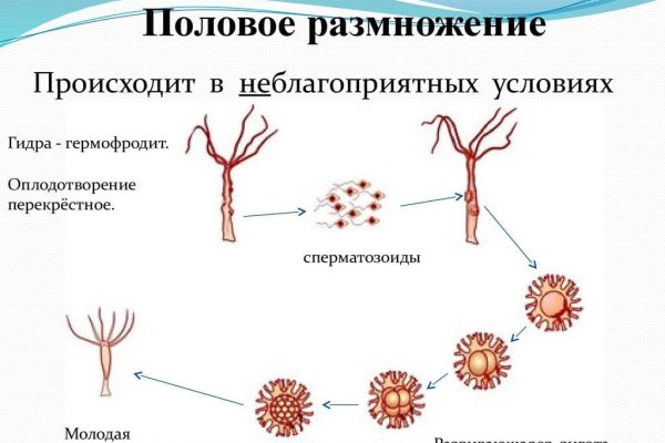 Кракен продажа