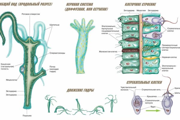 Kraken ссылка kraken014 com