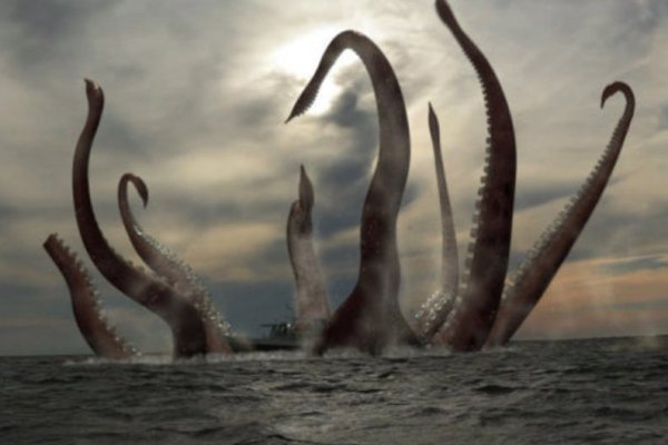 Kraken onion 2024