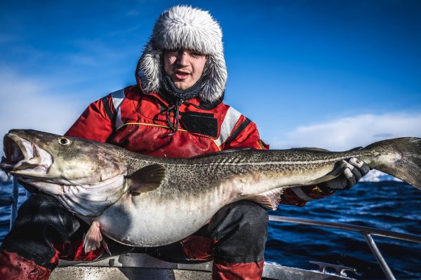 Kraken cc зеркало kr2web in