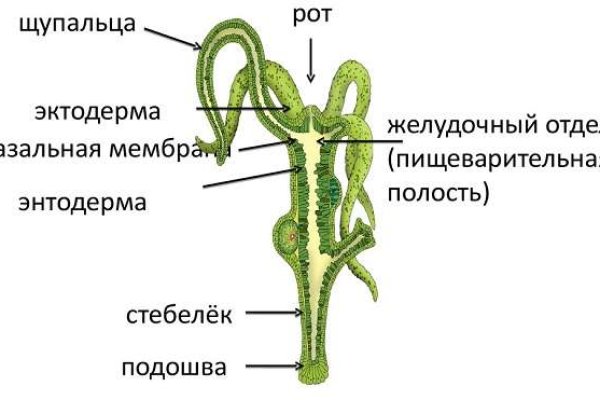 Кракен сайт продаж