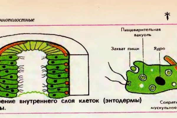 Кракен как зайти ссылка