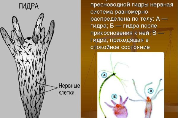 Кракен даркнет магазин